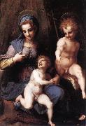 Andrea del Sarto Madonna and Child with the Young St John oil on canvas